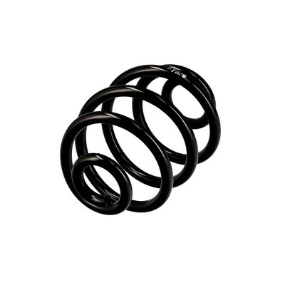 ARC SPIRAL EIBACH R10173 15