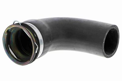 FURTUN EAR SUPRAALIMENTARE