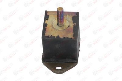 SUPORT MOTOR BIRTH 5224 10