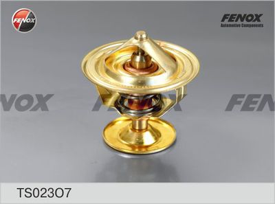 термостат, охладителна течност FENOX