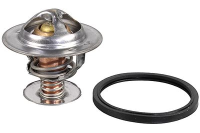 TERMOSTAT LICHID RACIRE