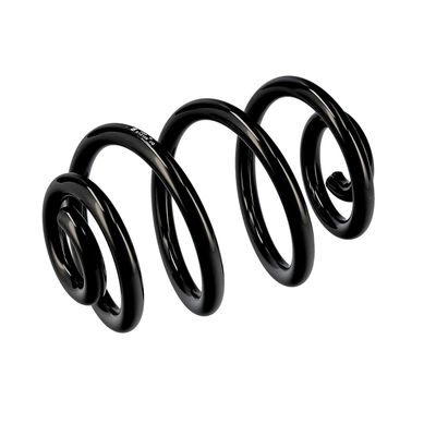 ARC SPIRAL EIBACH R10106 5