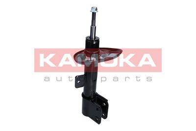 Shock Absorber 2000151