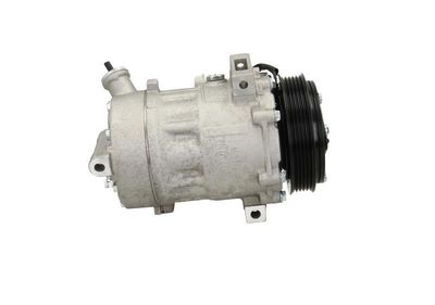 COMPRESOR CLIMATIZARE BV PSH 090135052876 3