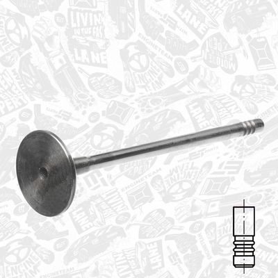 SUPAPA ADMISIE ET ENGINETEAM VI0169 1