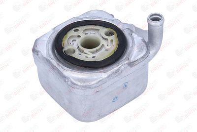 RADIATOR ULEI ULEI MOTOR BIRTH 80827 10