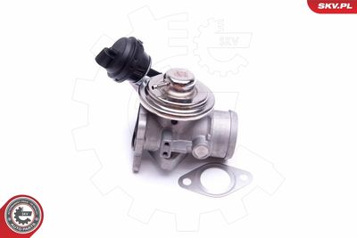 EGR Valve 14SKV206