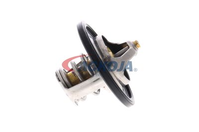 TERMOSTAT LICHID RACIRE ACKOJA A53990002 12