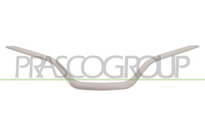 ZIER-/SCHUTZLEISTE KüHLERGITTER