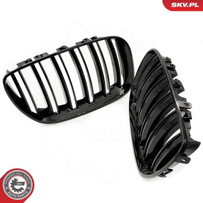 GRILA RADIATOR ESEN SKV 66SKV281 1