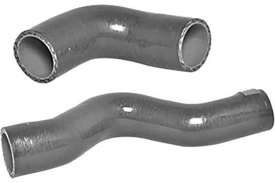 FURTUN EAR SUPRAALIMENTARE