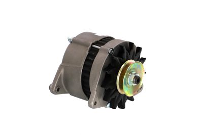 GENERATOR / ALTERNATOR REMANTE 011003000232R 48