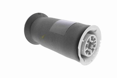 BRAT ARC PNEUMATIC VEMO V20500023 2