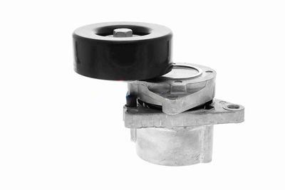 INTINZATOR CUREA CUREA DISTRIBUTIE ACKOJA A380332 1