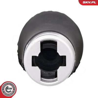 Hlavice řadicí páky ESEN SKV 63SKV228