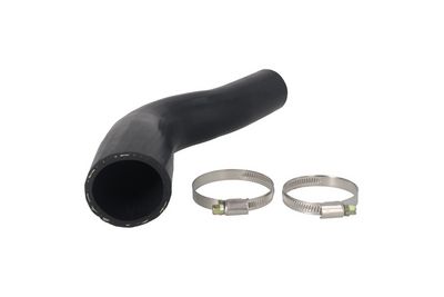 FURTUN EAR SUPRAALIMENTARE