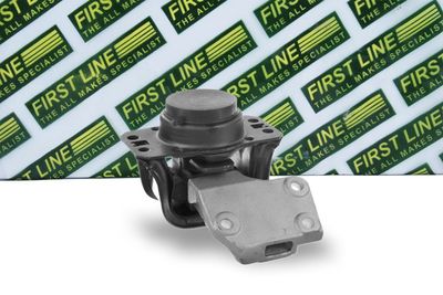 окачване, двигател FIRST LINE FEM4312