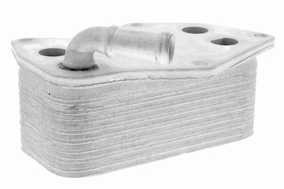 RADIATOR ULEI ULEI MOTOR