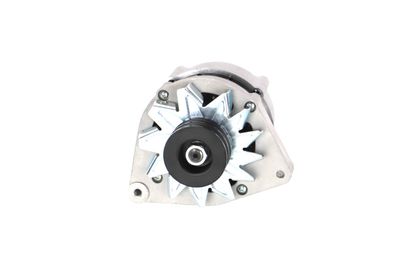GENERATOR / ALTERNATOR REMANTE 011003000025R 63