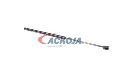 AMORTIZOR PORTBAGAJ ACKOJA A320132 17