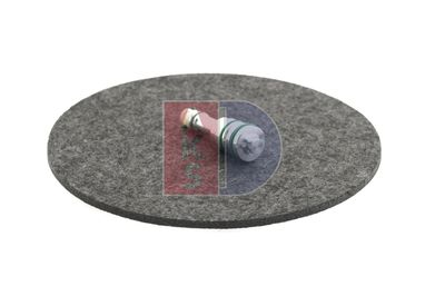 REGELVENTIL KOMPRESSOR AKS DASIS 859020N 1