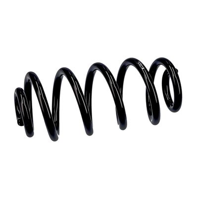 ARC SPIRAL EIBACH R10553 18