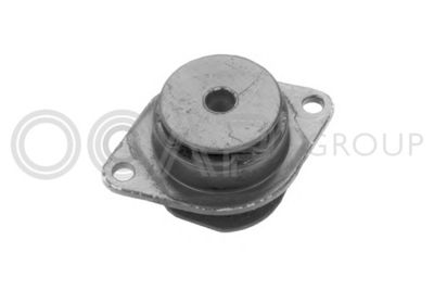 SUPORT MOTOR OCAP 1225793