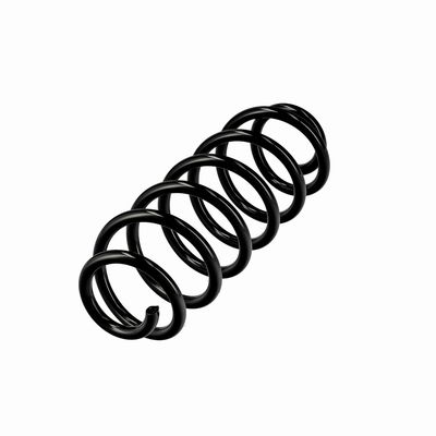 ARC SPIRAL EIBACH R10413 3