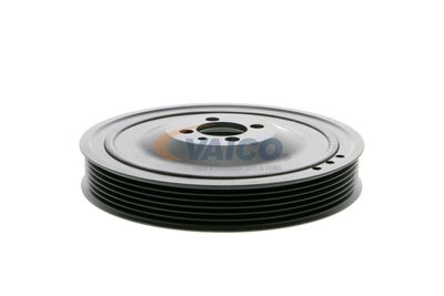 FULIE CUREA ARBORE COTIT VAICO V401481 44