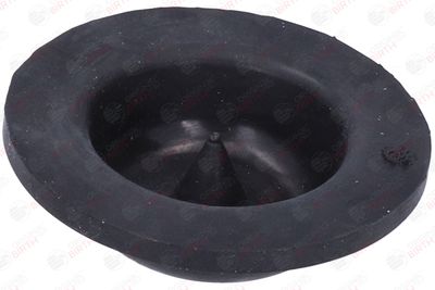 SAIBA ARC BIRTH 53805 9