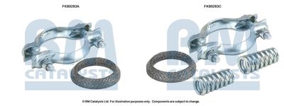 Монтажный комплект, катализатор BM CATALYSTS FK80283 для RENAULT RAPID