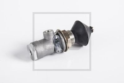 SUPAPA MULTICAI PE Automotive 08463800A