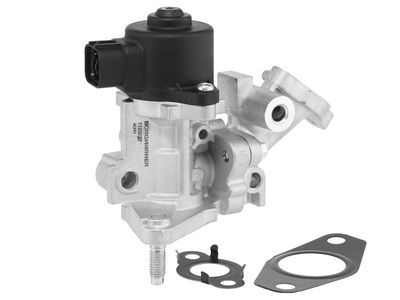 BorgWarner ERG vožtuvas