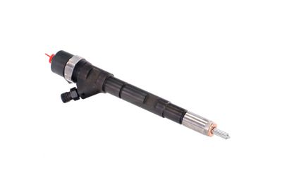 INJECTOR REMANTE 002003000018R 50