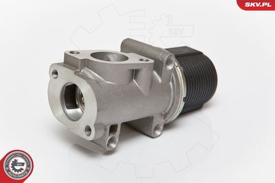 EGR Valve 14SKV076