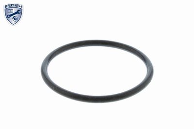 CARCASA TERMOSTAT VEMO V15991905 2