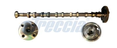 AX CU CAME FRECCIA CM052369