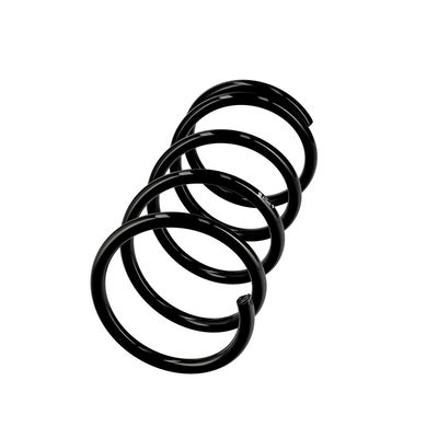 ARC SPIRAL EIBACH R10445 2