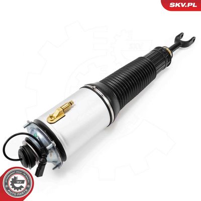 Air Suspension Strut 58SKV700