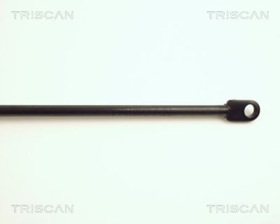 Amortizor capota TRISCAN 8710 29103