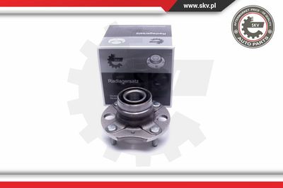 ESEN SKV 29SKV294 Комплект подшипника ступицы колеса 