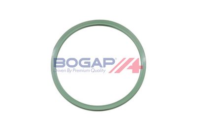 GARNITURA POMPA COMBUSTIBIL BOGAP L1623101 1