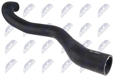 FURTUN EAR SUPRAALIMENTARE NTY GPPBM256 1