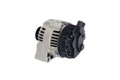 GENERATOR / ALTERNATOR REMANTE 011003000088R 19