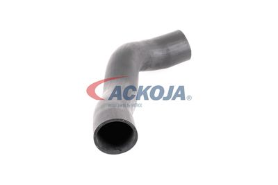 FURTUN EAR SUPRAALIMENTARE ACKOJA A379600 49