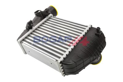 INTERCOOLER COMPRESOR BOGAP A4220107 4