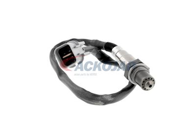 SONDA LAMBDA ACKOJA A53760012 12