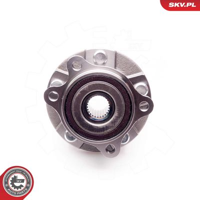 SET RULMENT ROATA ESEN SKV 29SKV106 2