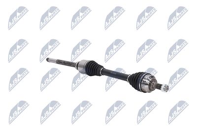 PLANETARA NTY NPWCT161 11