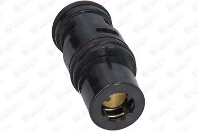 FLANSA LICHID RACIRE BIRTH 80236 10